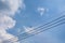 Cloudscape fluffy dramatic white cloud on blue sky with birds st