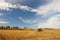 Cloudscape over field