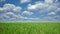 Cloudscape over green field