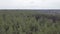 Cloudy aerial video of pine forest flying above. Great outdoors. Meditation activity. Close to nature