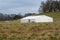 Cloudy blue sky over Marquee for party and events in a green field on a sunny day