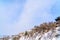 Cloudy blue sky over scenic residential and nature landscape on a snowy day