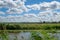 Cloudy blue sky and skyline of Rotterdam city seen from the polder.