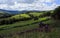 Cloudy Bright day over the fields and trees of Raydale