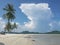 Cloudy, clear sky, sandy beach, sea and coconut trees