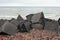 Cloudy day on the beach with concrete fortifications near the se