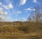 Cloudy day in early spring. Abandoned farm buildings. Leningrad region