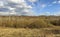 Cloudy day in early spring. Abandoned farm buildings. Leningrad region