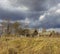 Cloudy day in early spring. Abandoned farm buildings. Russia.