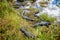 Cloudy day at Everglades National Park