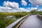 Cloudy day at Everglades National Park