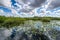 Cloudy day at Everglades National Park