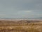 Cloudy Desert Sky Landscape in Southwest United States