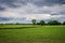 Cloudy Dutch Summer landscape in June near Delden Twente, Overijssel