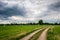 Cloudy Dutch Summer landscape in June near Delden Twente, Overijssel