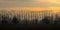 Cloudy evenig sky with dark clouds and orange glow over bare trees in the Flemish countryside