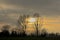 Cloudy evenig sky with dark clouds and yellow glow over bare trees in the Flemish countryside