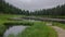 Cloudy Evening on a Forest Pond. Time Lapse