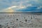 Cloudy evening over the salty estuary