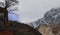 cloudy foggy alpine forest and panorama of snowcapped himalaya mountains range of north sikkim