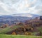 Cloudy and foggy autumn mountain countryside scene. Carpathians, Ukraine. Peaceful picturesque traveling, seasonal, nature and