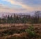 Cloudy and foggy early morning autumn meadow scene. Peaceful picturesque traveling, seasonal, nature and countryside beauty