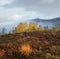 Cloudy and foggy early morning autumn meadow scene. Peaceful picturesque traveling, seasonal, nature and countryside beauty