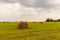 Cloudy landscape of meadows, which are mown haystacks.