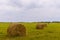 Cloudy landscape of meadows, which are mown haystacks.