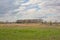 Cloudy marsh landscape with green meadow, reed and bare willow trees