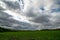 Cloudy meadow landscape