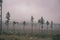 cloudy and misty Slovakian Western Carpathian Tatra Mountain sky