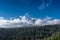 Cloudy Mount Rainier Forest Below