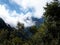 Cloudy Mountain Framed By Trees