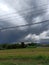 cloudy over the rice field