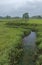 Cloudy river marsh with lone tree