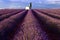 Cloudy skiy above a picturesque stone built skack in Lavender Field