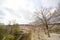 Cloudy sky and dying tree on city wall in front of stone bridge village grass backgrounds in early of winter season at Switzerland