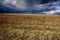 Cloudy sky and meadow