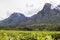 Cloudy sky with Mount Mulanje and tea plantations