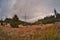 Cloudy sky over the steppe landscapes