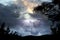 Cloudy sky trees silhouette on front night   moon dramatic  blue nebula panorama nature weather forecast