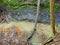 Cloudy Stream, small muddy creek