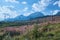 Cloudy summertime landscape with Chamaenerion angustifolium known as fireweed