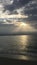 Cloudy Sunrise with Pelicans and Seagulls in Spring at Miami Beach, Florida.