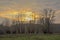 Cloudy sunset sky over a meadow with willows in the flemish countryside