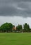 Cloudy, tree and grass