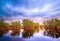 Cloudy Tropical Mangrove Trees