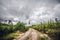 Cloudy weather over a dirt road