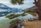 Cloudy winter Alpine  lake Grundlsee view Austria with big pine tree and fantastic pattern-reflection on the water surface and